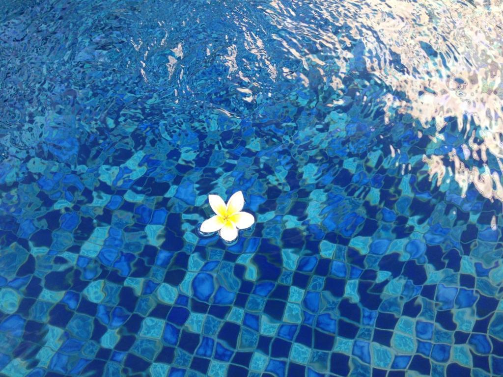 Coco De Heaven House Otel Jimbaran Dış mekan fotoğraf
